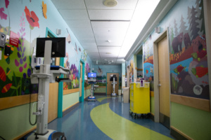 Murals in pediatrics unit